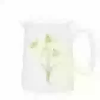 Tiny Jug